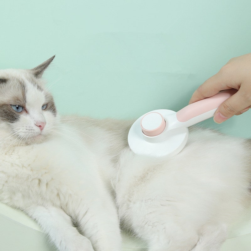 Kitty Brush